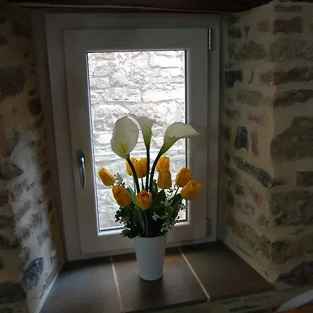 Guest house Emily House *